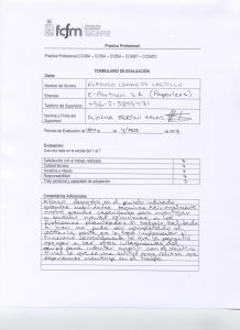 Internship Evaluation Form by Paperless CIO